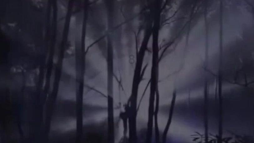 歌尽凡尘